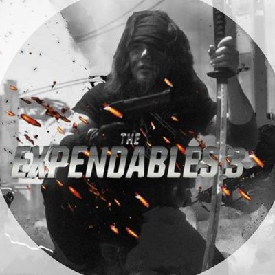 AL松松Leong(茶トラのアメショとラガマフィン)