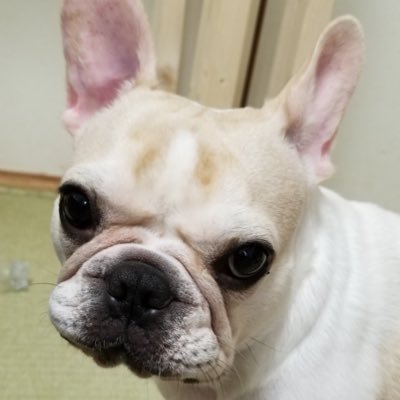 はさこん📦🫶🏻🐢🧸🎤BoomBoomBrothers世界の住人になりたい。優しく強く