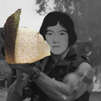 サーモンの軍貫