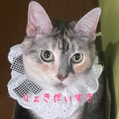 ひろうちゅっこ旧HIROKO