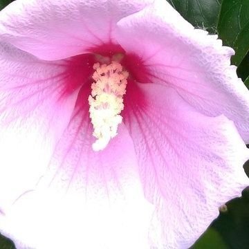 HIRO☆PEACE ひーちゃん、ヒロ、ひろたん)