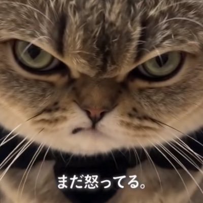にゃべまるA.K.Aにゃべれの