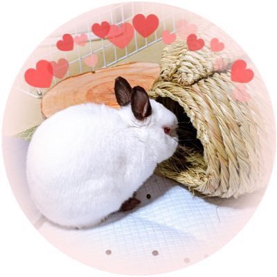 はるꪔ̤̮ 𓈒𓏸