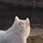 HISTORY OF IM@S WORLD