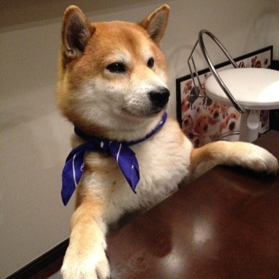 ホライゾン@SGGKホラ林源三