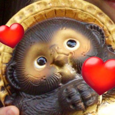 🪽きの𐔌՞･·･՞𐦯🪽🫧