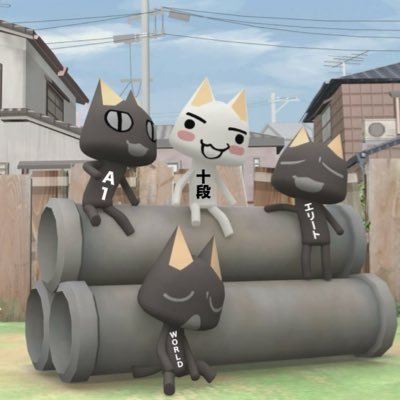 黒猫(とりころ)@十段