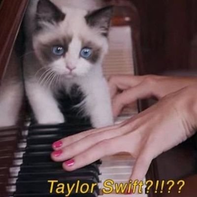 洋楽初心者🇯🇵