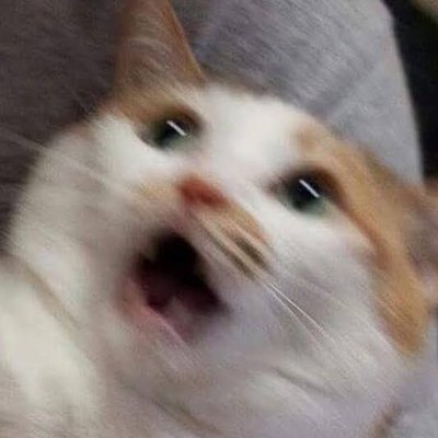 ¿