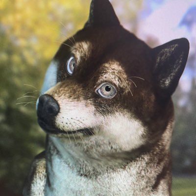 イヌヌワン@Youtube