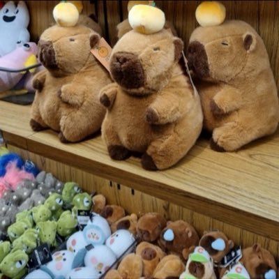 コンサートとツアーのチケットガイド🎫🎫🎟️🎟️🦯🦯🦯🦯