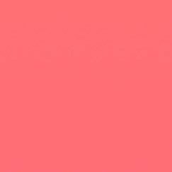 ぽん(初回プロカ必読)