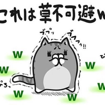 ジャぱーん(｢･ω･)｢