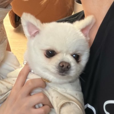 아🐈‍⬛ ྀི