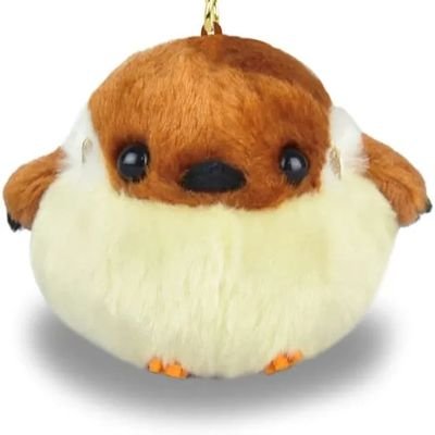 ꒰ ♡ 𝕋𝕀ℕ𝔸 ♡ ꒱