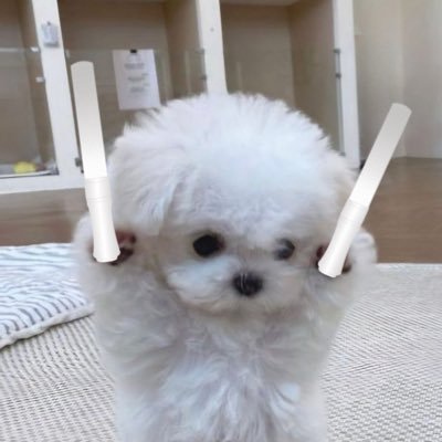 ︎ ︎︎︎︎︎