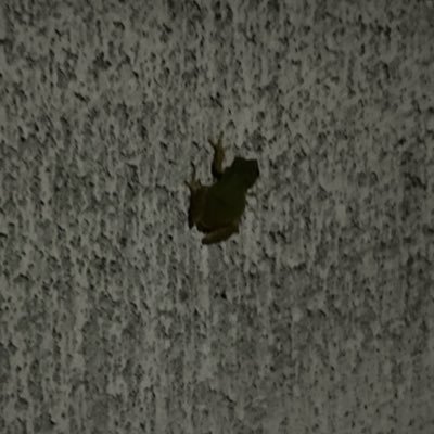 ホットカーペット