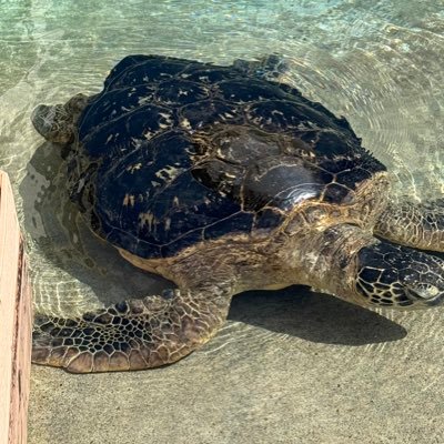 JAY.JAY-sekaihajaydemawatteru!