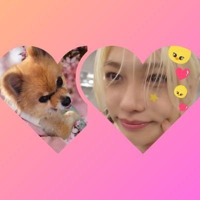 Jinsil❤️💕💕