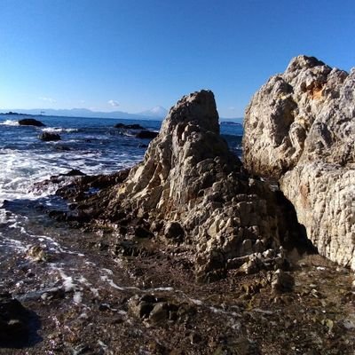 国民保守戦線🍥National Conservative Front\NCF