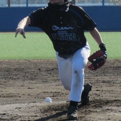 ナーグリス (野球垢)