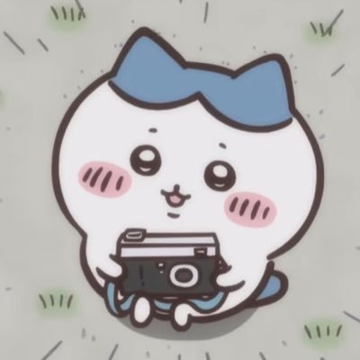 대리찍사 먼작귀