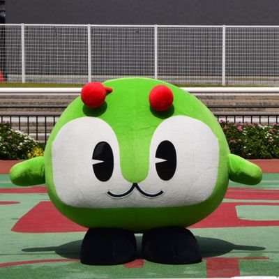 香取プロモーション