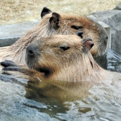 久保ちゃん？ @KazuoYoshida6