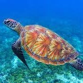 きーん@自分の楽しみ探しの旅