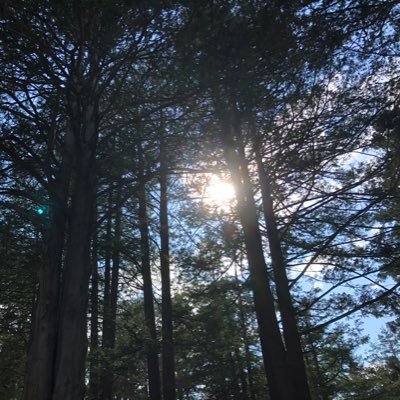 フランドン・キミード(きみー)🇹🇼🇺🇦🇵🇸☮