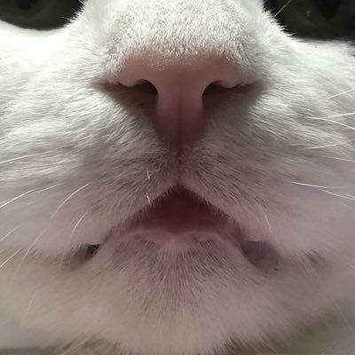 チョン・ジョングクになる途中のオタク