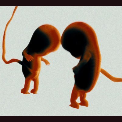 💔とわ💔 👑🐃