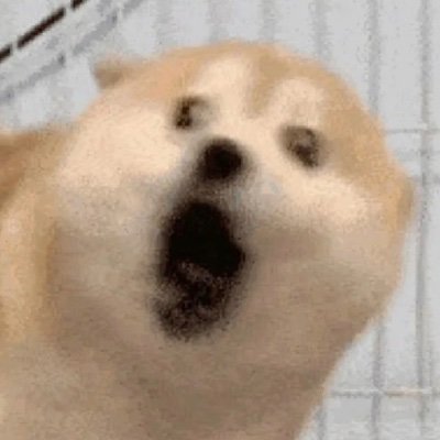 はなたろう