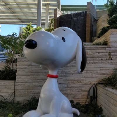 みーにゃ@『…』