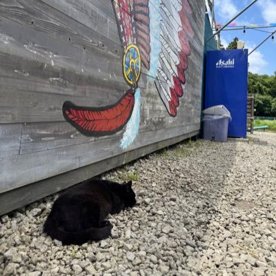 ジェロニモ☆ Military Field GERONIMO