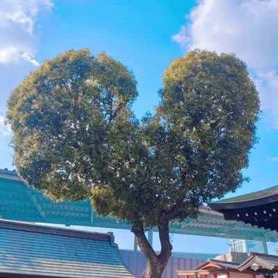 미키🌻