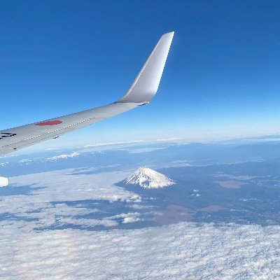 ✈︎
