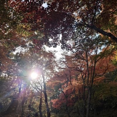 四季@ONnOFFにどハマり厨🐽ﾌﾞﾋ