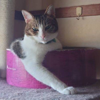 マシュー/あかぎ