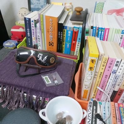 Ryo Miura - I, Don Quixote