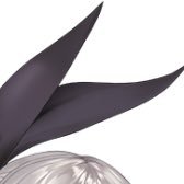 わかめ太郎🎤👑