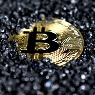 NG_crypto_trend