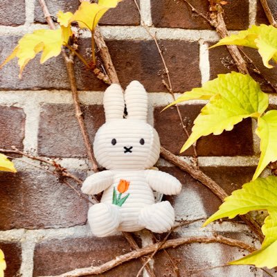 🍓Outlaws of love🍓