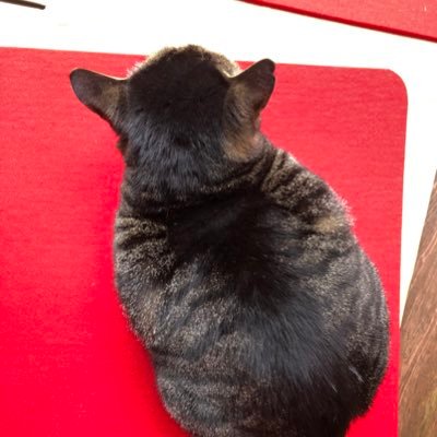 ながさきHM7
