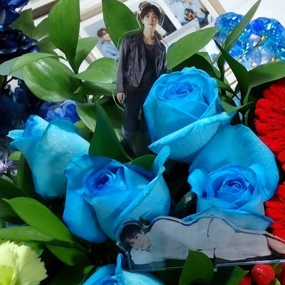 永遠に💙翔太君尊し💙なおぴん🥊