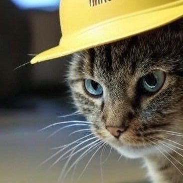 🪩鴨煮るミティー🐈