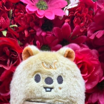 게맛살(カニカマ)