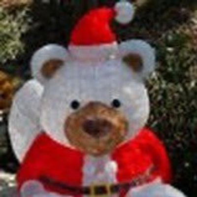 Nob🐻‍❄️🎀👼🏻🌼