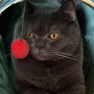 🍒ﾇｼﾖ（ヌシオ）