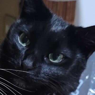 龍宮城のおかんになりたい